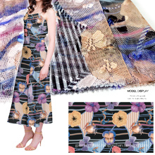 Mesh Lace Printed Garment/ Home Textile/ Dress Fabric